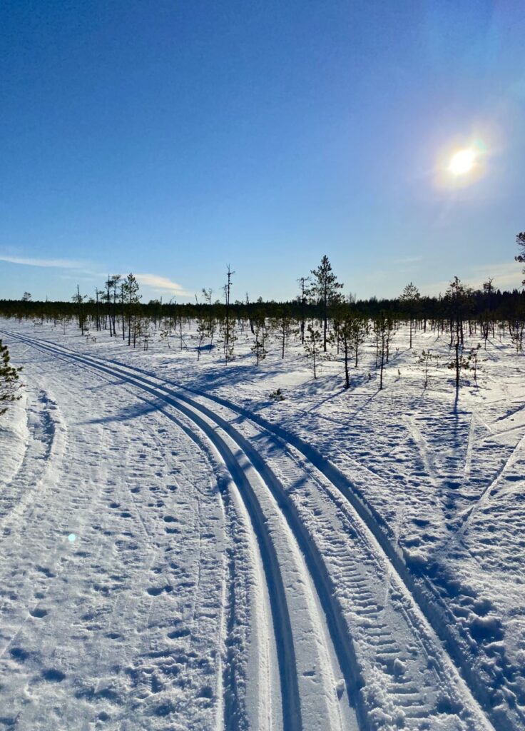 Hiihtolatu rämemetsämaisemissa. Aurinko paistaa pilvettömältä taivaalta.
