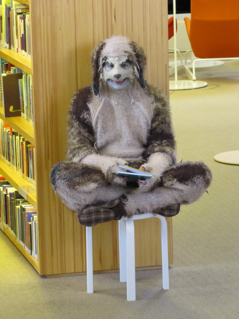 Nakkirakki istuu kirja kädessään aikuisten kirjasalin hyllyn päässä.