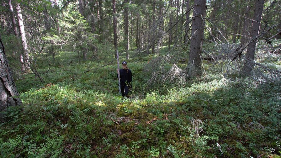 Nuori nainen seisoo metsässä keskellä matalaa painannetta.