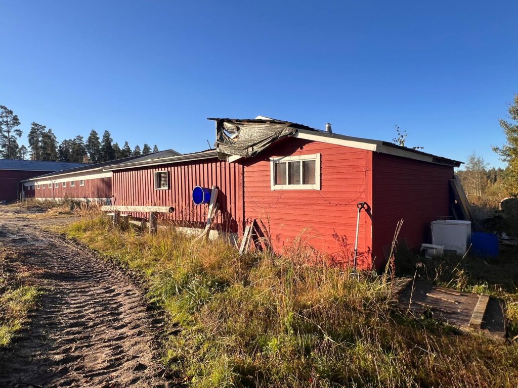 Kuva erillisestä tallirakennuksesta