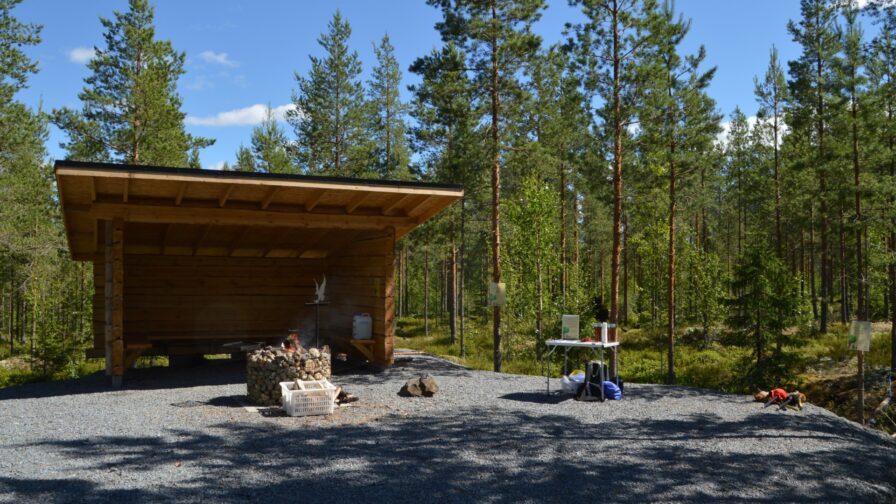 Laavu ja nuotiopaikka metsän keskellä